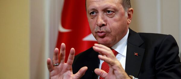 پاسخ اردوغان به درخواست میانجیگری ترکیه میان ایران و آمریکا - اسپوتنیک ایران  