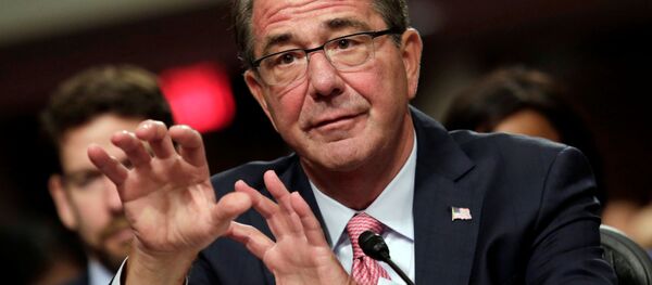 Министр обороны США Эштон Картер в Вашингтоне - اسپوتنیک ایران  