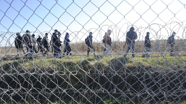 Мигранты за колючей проволокой на границе между Сербией и Венгрией - اسپوتنیک ایران  