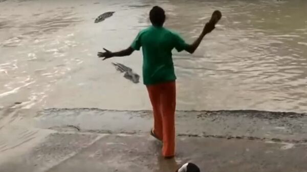 ترساندن تمساح با دمپایی (ویدیو) - اسپوتنیک ایران  