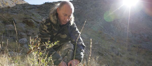 ولادیمیر پوتین در اونیفورم نظامی ولادیمیر پوتین در اونیفورم نظامی - اسپوتنیک ایران