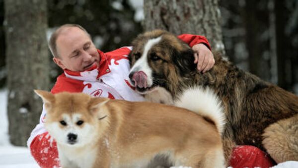 Президент России Владимир Путин с собаками Баффи и Юмэ на прогулке в Московской области - اسپوتنیک ایران  