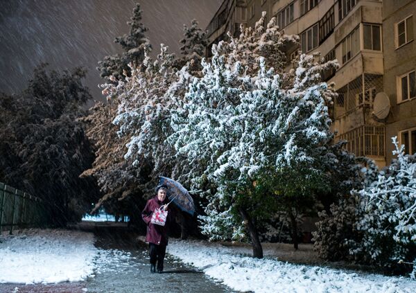 اولین برف در خیابان های اومسک - اسپوتنیک ایران  