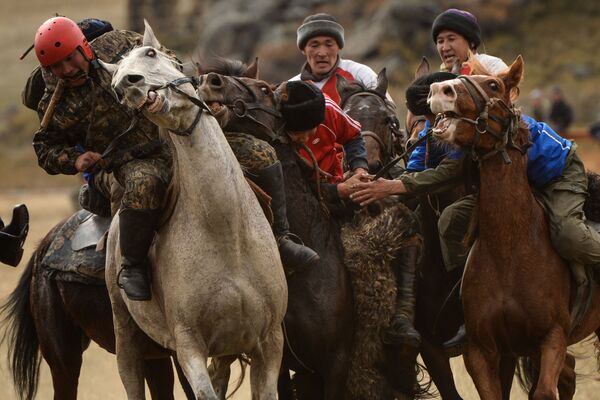 شرکت کنندگان مسابقات « کوک-بورو» ( شکار بز) در جمهوری آلتای - اسپوتنیک ایران  
