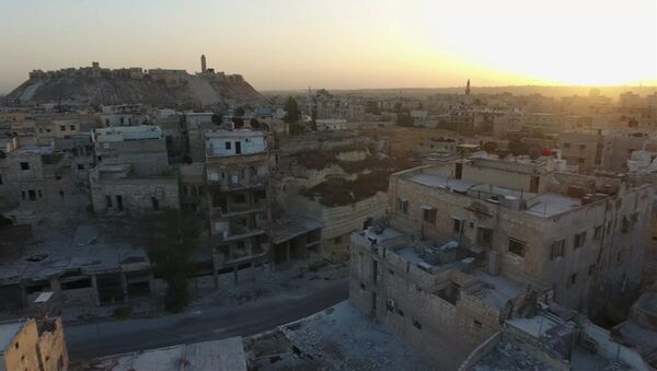 پاکسازی 24 هکتار شهر حلب از مین - اسپوتنیک ایران  