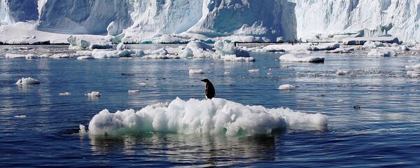 قطب جنوب قطب جنوب - اسپوتنیک ایران