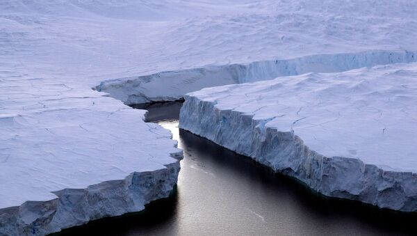 کشف دنیای گم شده در زیر یخچال های قطب جنوب - اسپوتنیک ایران  