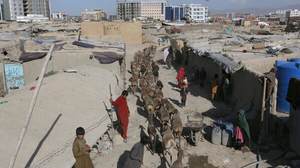 اردوگاه موقت پناهجویان در کابل افغانستان - اسپوتنیک ایران  