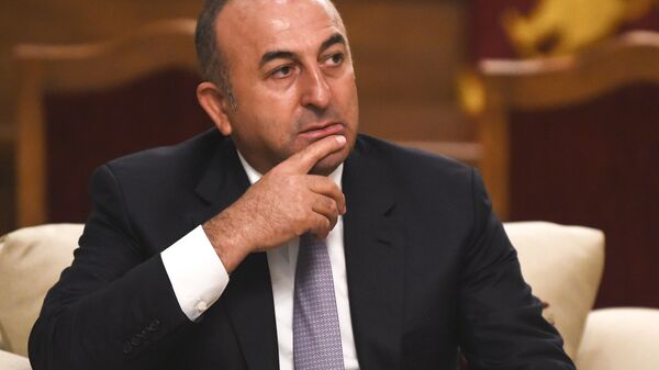 نشست تبلیغانی وزیر خارجه ترکیه در شهر روتردام هلند لغو شد - اسپوتنیک ایران  