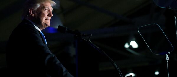 دونالد ترامپ رئیس جمهور آمریکا دونالد ترامپ رئیس جمهور آمریکا - اسپوتنیک ایران