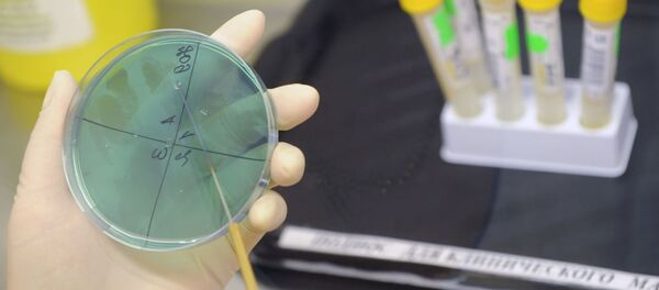 اقدامات وزارت بهداشت ایران درباره آنفلوآنزای مرغی - اسپوتنیک ایران  