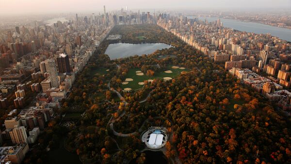 Вид на Центральный парк на рассвете в Нью-Йорке - اسپوتنیک ایران  