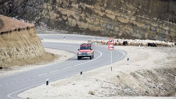 کمک شبکه های اجتماعی به خط کشی جاده ای در ایران +عکس - اسپوتنیک ایران  