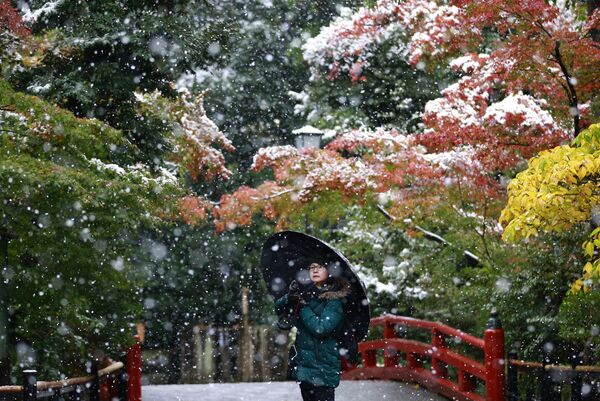 یکی از بازدیدکنندگان پارک  نزدیک  معبد « سوروگائوکا – خاتیمان گو» در  شهر « کاماکورا» ژاپن  در زمان اولین بارش برف - اسپوتنیک ایران  
