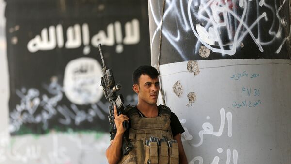 A member of Iraqi counterterrorism forces stands guard near Islamic State group militant graffiti in Fallujah, Iraq (File) - اسپوتنیک ایران  