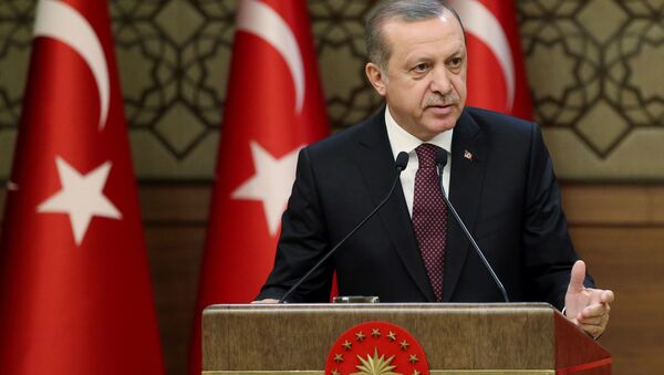رجب طیب اردوغان، رئیس جمهور  ترکیه - اسپوتنیک ایران  