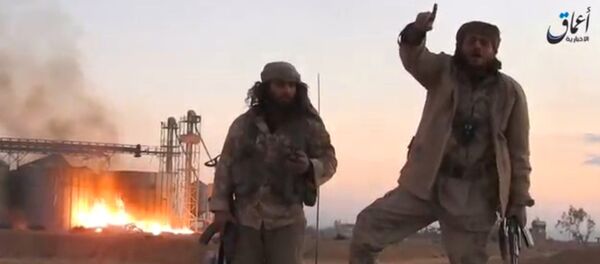 اتحاد پنج گروه تروریستی خطرناک در سوریه - اسپوتنیک ایران  