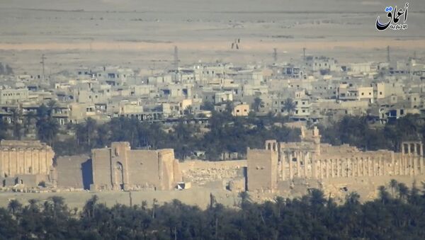 Вид на сирийский город Пальмира - اسپوتنیک ایران  