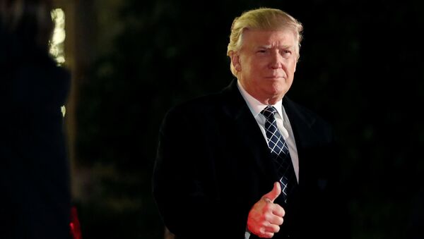 U.S. President-elect Donald Trump - اسپوتنیک ایران  