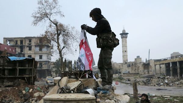 عناصر مسلح از همه محلات حلب عقب رانده شدند - اسپوتنیک ایران  