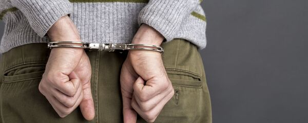 بازاداشت نظامی سابق آمریکا در ایران بازاداشت نظامی سابق آمریکا در ایران - اسپوتنیک ایران