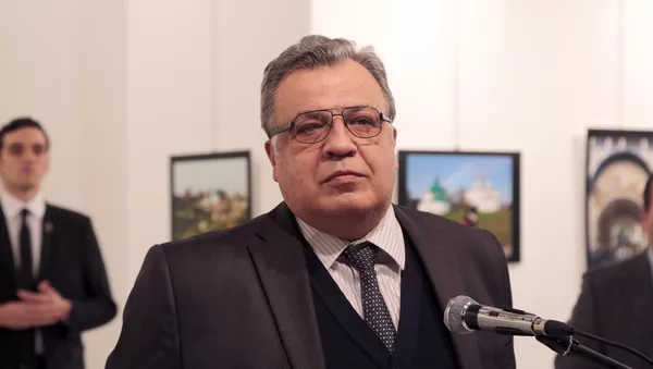 دستگیری پنج نفر در ارتباط با ترور سفیر روسیه در آنکارا دستگیری پنج نفر در ارتباط با ترور سفیر روسیه در آنکارا - اسپوتنیک ایران