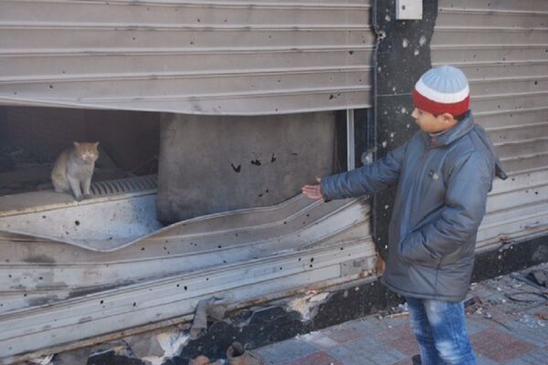 یوشیا - اسپوتنیک ایران  