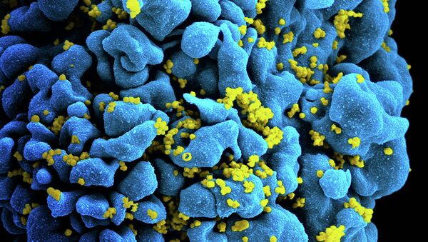 نامرئى كردن سلول هاى بدن براى ويروس HIV توسط دانشمندان روس - اسپوتنیک ایران  