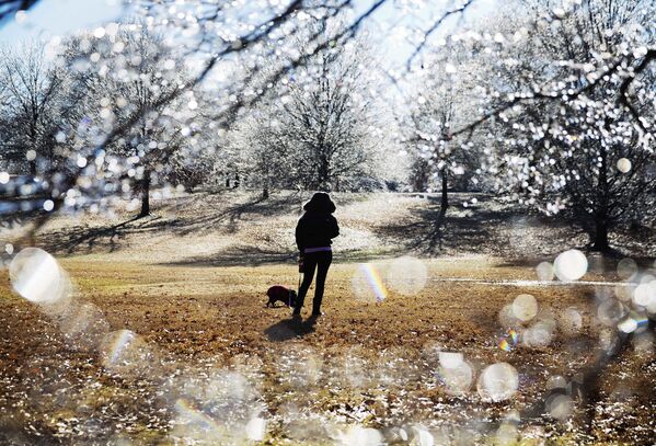 زنی در حال گردش با سگ در پارک آتلانتا آمریکا - اسپوتنیک ایران  