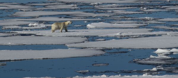 آهنگ سریع گرم شدن قطب شمال - اسپوتنیک ایران  