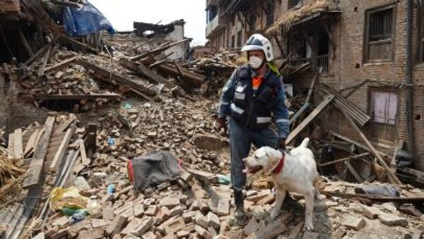 Спасатель Центра спасательных операций особого риска Лидер МЧС России с лабрадором во время поисково-спасательной операции в Непале - اسپوتنیک ایران  