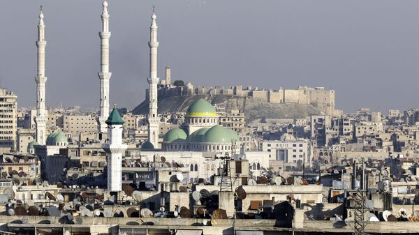 Вид на цитадель и президентскую мечеть в Алеппо - اسپوتنیک ایران  