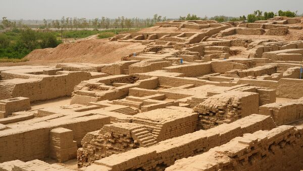 کشف راز زندگی طولانی اولین تمدن زمین - اسپوتنیک ایران  