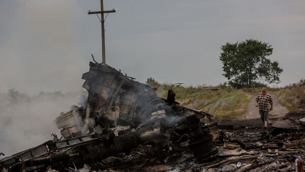مشارکت اوکراین در سقوط هواپیمای مالزیایی در دونباس - اسپوتنیک ایران  