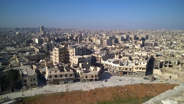 حلب سوریه - اسپوتنیک ایران  