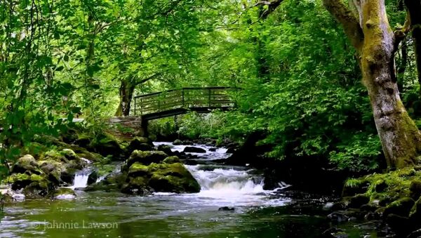 کشف آبشاری در ایرلند برای درمان بی خوابی - اسپوتنیک ایران  
