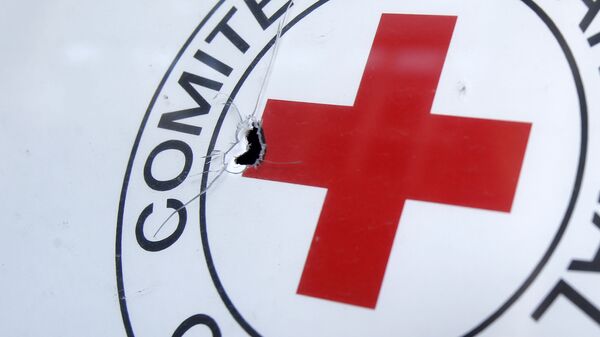 شش کارمند صلیب سرخ در افغانستان کشته شدند - اسپوتنیک ایران  