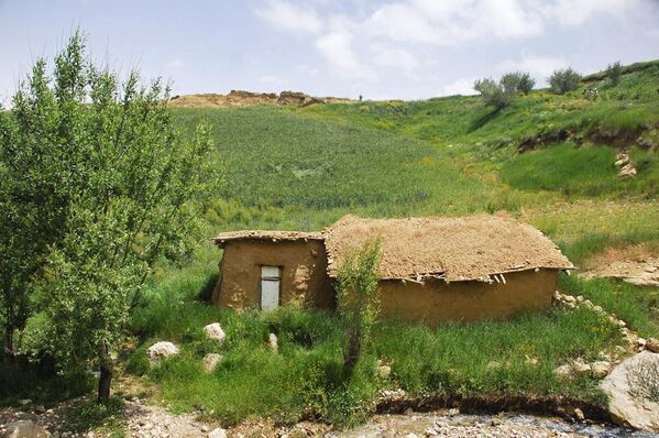 روستای شاهکوه - اسپوتنیک ایران  