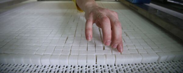 Работа сахарного завода - اسپوتنیک ایران  