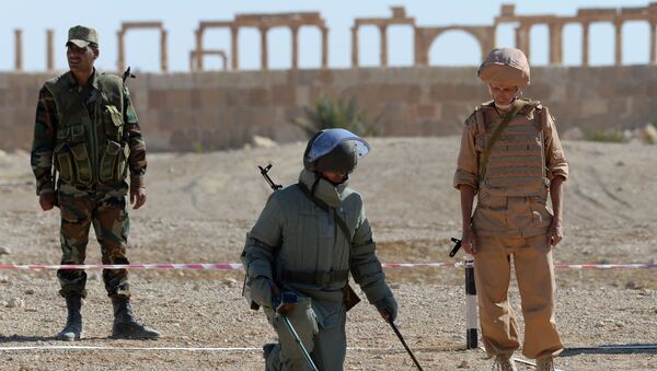 Обучение сирийских солдат поисковой тактике и обнаружению взрывных устройств в Пальмире - اسپوتنیک ایران  