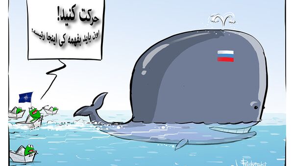 50 кораблей нато кузнецов - اسپوتنیک ایران  