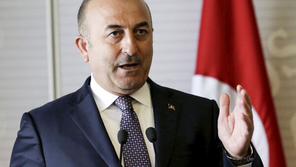 Министр иностранных дел Турции Мевлют Чавушоглу - اسپوتنیک ایران  