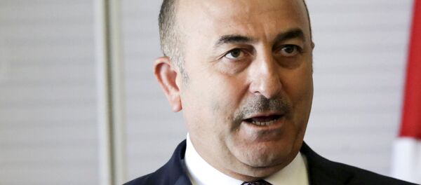 اعلام موضع ترکیه در رابطه با سیاست آمریکا - اسپوتنیک ایران  