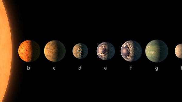 This artist's concept shows what each of the TRAPPIST-1 planets may look like, based on available data about their sizes, masses and orbital distances. - اسپوتنیک ایران  