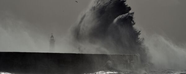 باران آبزیان در چین + عکس باران آبزیان در چین + عکس - اسپوتنیک ایران