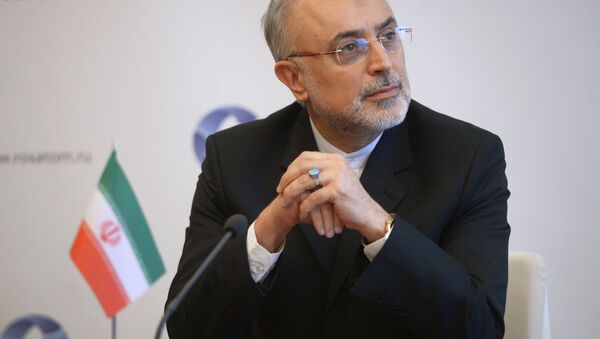 علی اکبر صالحی، رئیس سازمان انرژی اتمی ایران - اسپوتنیک ایران  