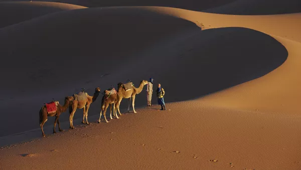 آب و هوای صحراها هر 20000 سال تغییر می کند - اسپوتنیک ایران  