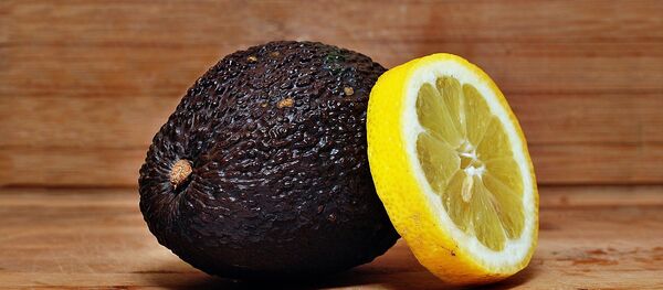 An Avocado & A Lemon - اسپوتنیک ایران  