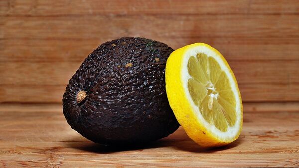 An Avocado & A Lemon - اسپوتنیک ایران  