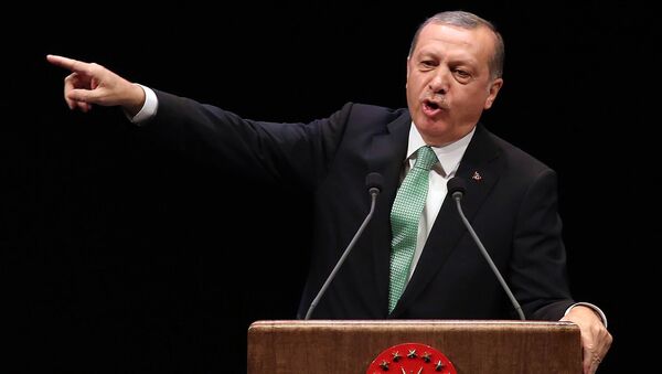 اردوغان خطاب به آمریکا: تئاتر خود با داعش را تمام کنید و ماسک خود را بردارید - اسپوتنیک ایران  